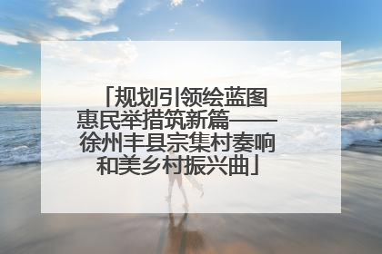 规划引领绘蓝图 惠民举措筑新篇——徐州丰县宗集村奏响和美乡村振兴曲
