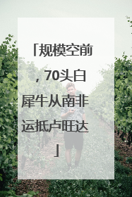 规模空前，70头白犀牛从南非运抵卢旺达