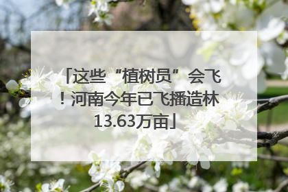 这些“植树员”会飞！河南今年已飞播造林13.63万亩