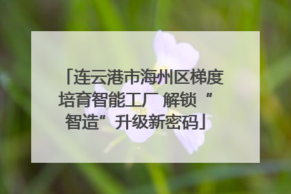 连云港市海州区梯度培育智能工厂 解锁“智造”升级新密码