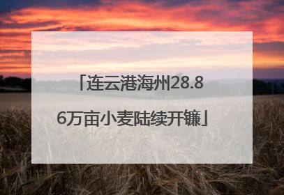 连云港海州28.86万亩小麦陆续开镰