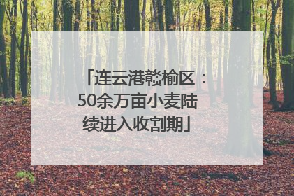 连云港赣榆区：50余万亩小麦陆续进入收割期