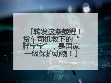 转发这条鲮鲤！货车司机救下的“胖宝宝”，是国家一级保护动物！
