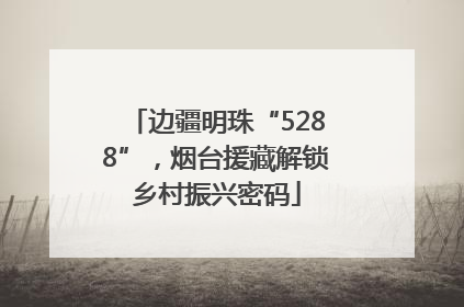 边疆明珠“5288”，烟台援藏解锁乡村振兴密码