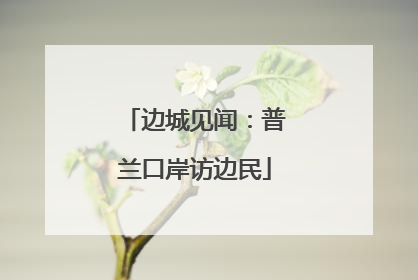 边城见闻：普兰口岸访边民