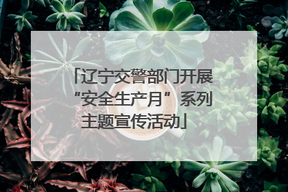辽宁交警部门开展“安全生产月”系列主题宣传活动