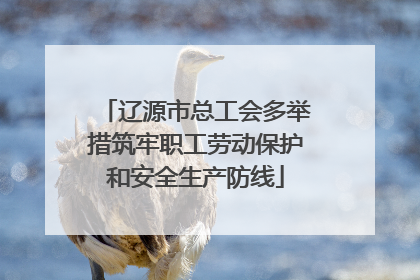 辽源市总工会多举措筑牢职工劳动保护和安全生产防线