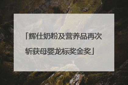 辉仕奶粉及营养品再次斩获母婴龙标奖金奖