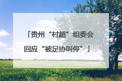 贵州“村超”组委会回应“被足协叫停”