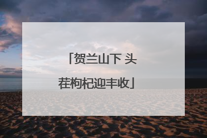 贺兰山下 头茬枸杞迎丰收