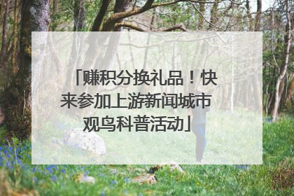 赚积分换礼品！快来参加上游新闻城市观鸟科普活动