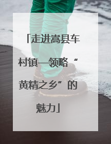 走进嵩县车村镇—领略“黄精之乡”的魅力