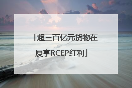 超三百亿元货物在厦享RCEP红利