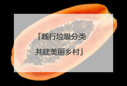 践行垃圾分类 共建美丽乡村