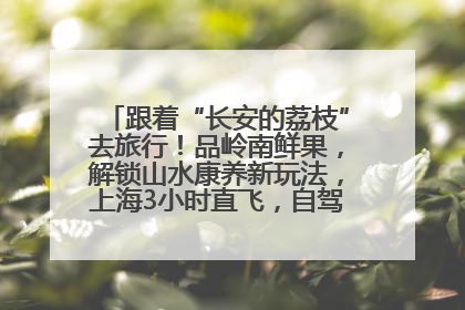 跟着“长安的荔枝”去旅行！品岭南鲜果，解锁山水康养新玩法，上海3小时直飞，自驾高速费优惠