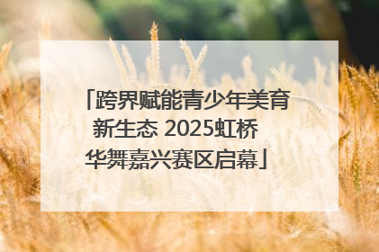 跨界赋能青少年美育新生态 2025虹桥华舞嘉兴赛区启幕
