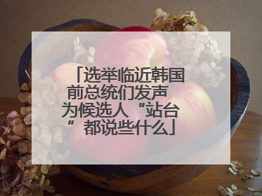 选举临近韩国前总统们发声 为候选人“站台”都说些什么