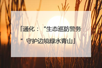 通化：“生态巡防警务”守护边境绿水青山