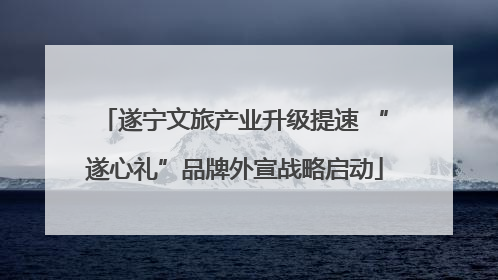 遂宁文旅产业升级提速 “遂心礼”品牌外宣战略启动