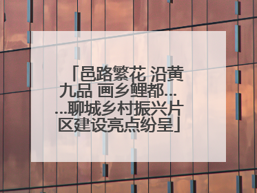 邑路繁花 沿黄九品 画乡鲤都……聊城乡村振兴片区建设亮点纷呈