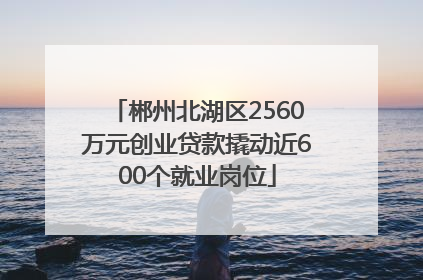 郴州北湖区2560万元创业贷款撬动近600个就业岗位