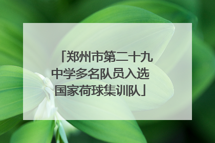 郑州市第二十九中学多名队员入选国家荷球集训队