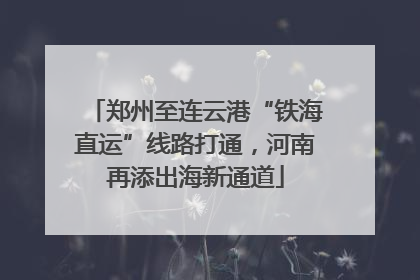 郑州至连云港“铁海直运”线路打通，河南再添出海新通道