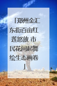 郑州金汇东街百亩红莲怒放 市民花间起舞绘生态画卷
