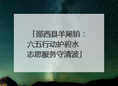郧西县羊尾镇：六五行动护碧水 志愿服务守清波
