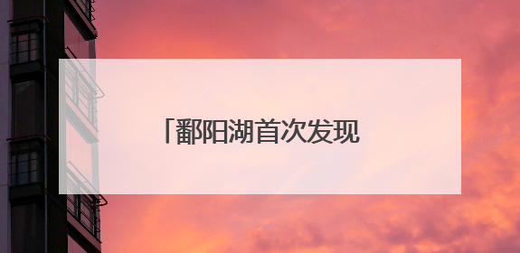 鄱阳湖首次发现彩鹮筑巢繁殖