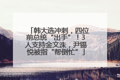韩大选冲刺，四位前总统“出手”！3人支持金文洙，尹锡悦被指“帮倒忙”