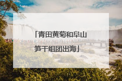 青田黄菊和阜山笋干组团出海