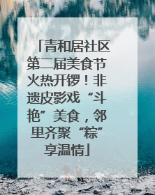 青和居社区第二届美食节火热开锣！非遗皮影戏“斗艳”美食，邻里齐聚“粽”享温情
