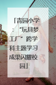 青园小学：“玩具梦工厂”跨学科主题学习成果闪耀校园