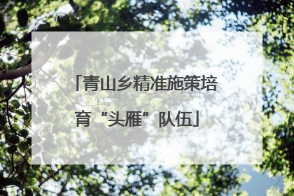 青山乡精准施策培育“头雁”队伍
