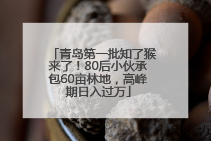 青岛第一批知了猴来了！80后小伙承包60亩林地，高峰期日入过万