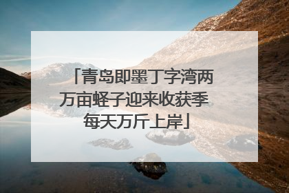 青岛即墨丁字湾两万亩蛏子迎来收获季 每天万斤上岸