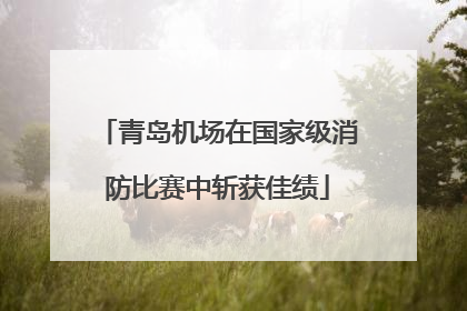 青岛机场在国家级消防比赛中斩获佳绩
