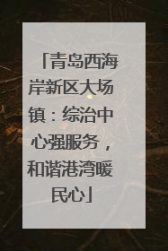 青岛西海岸新区大场镇：综治中心强服务，和谐港湾暖民心