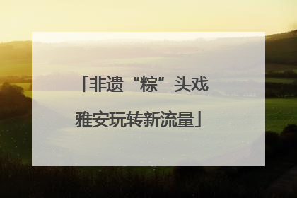 非遗“粽”头戏 雅安玩转新流量