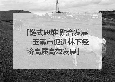 链式思维 融合发展——玉溪市促进林下经济高质高效发展
