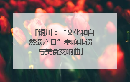 铜川：“文化和自然遗产日”奏响非遗与美食交响曲