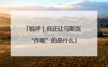 锐评｜真正让马斯克“作呕”的是什么