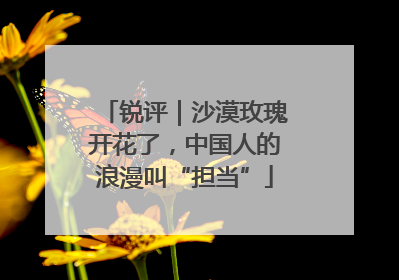 锐评｜沙漠玫瑰开花了，中国人的浪漫叫“担当”