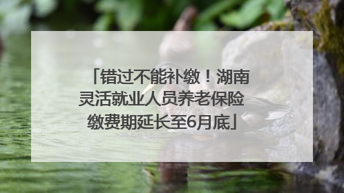 错过不能补缴！湖南灵活就业人员养老保险缴费期延长至6月底