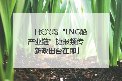 长兴岛“LNG船产业链”捷报频传 新政出台在即