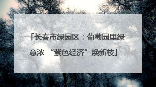 长春市绿园区：葡萄园里绿意浓 “紫色经济”焕新枝
