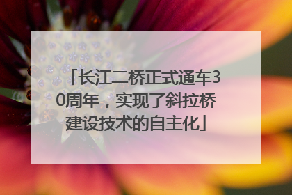长江二桥正式通车30周年，实现了斜拉桥建设技术的自主化