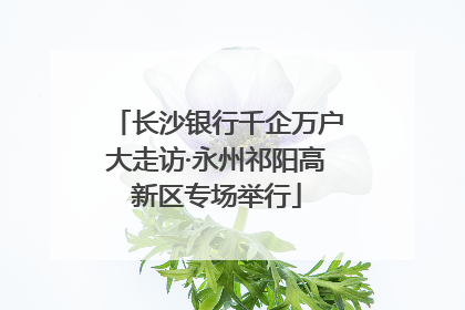 长沙银行千企万户大走访·永州祁阳高新区专场举行