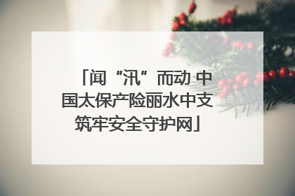 闻“汛”而动 中国太保产险丽水中支筑牢安全守护网
